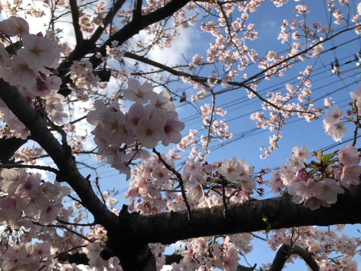 大阪Masaru House别墅 外观 照片